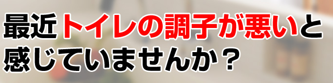 最近トイレの調子が悪いと感じていませんか？